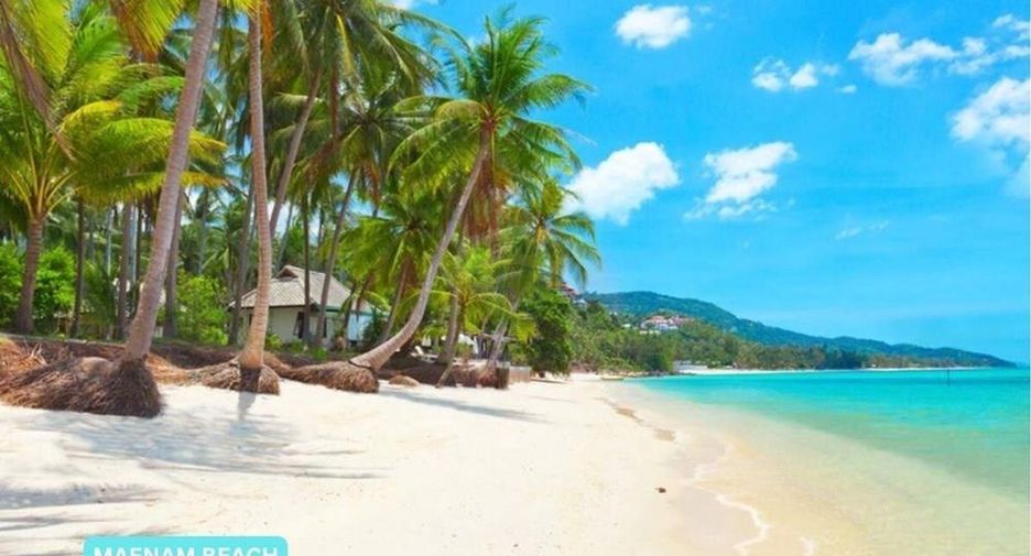 For sale land in Ko Samui, Surat Thani