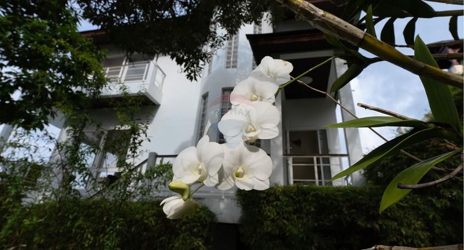 For rent 4 bedrooms villa in Ko Samui, Surat Thani