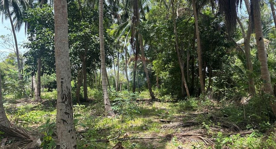 For sale land in Ko Samui, Surat Thani