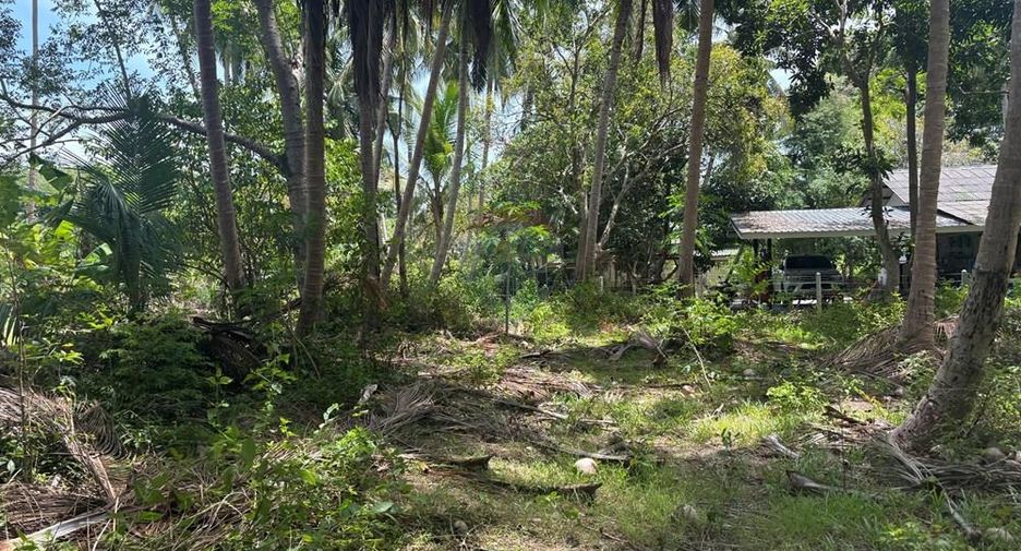 For sale land in Ko Samui, Surat Thani