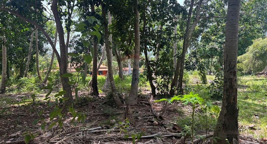 For sale land in Ko Samui, Surat Thani