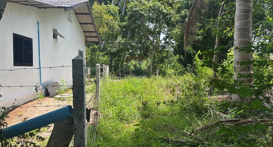 For sale land in Ko Samui, Surat Thani