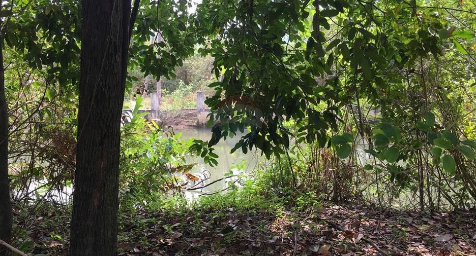 For sale land in Ko Samui, Surat Thani