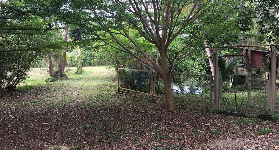 For sale land in Ko Samui, Surat Thani