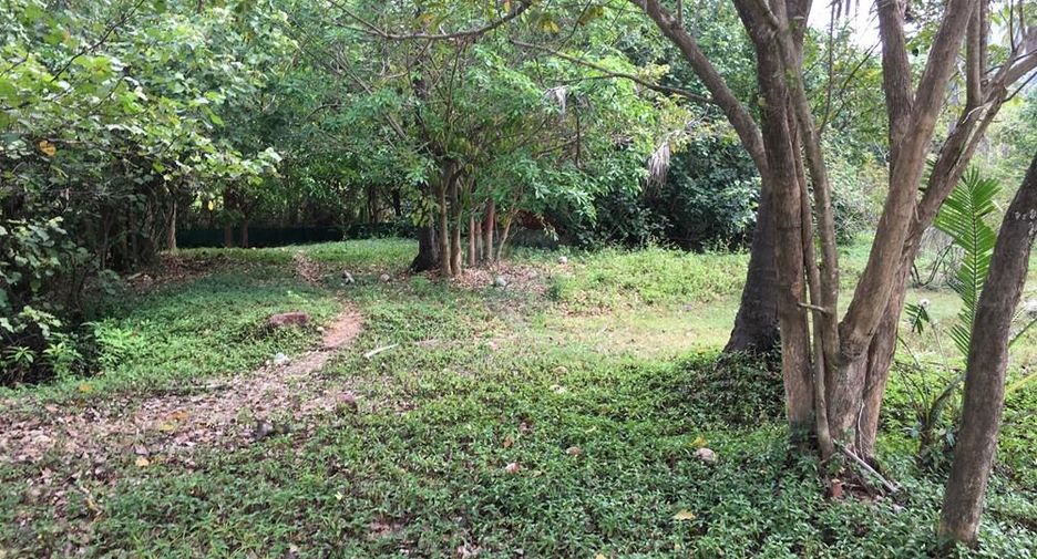 For sale land in Ko Samui, Surat Thani