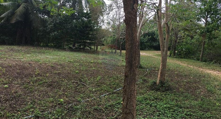 For sale land in Ko Samui, Surat Thani