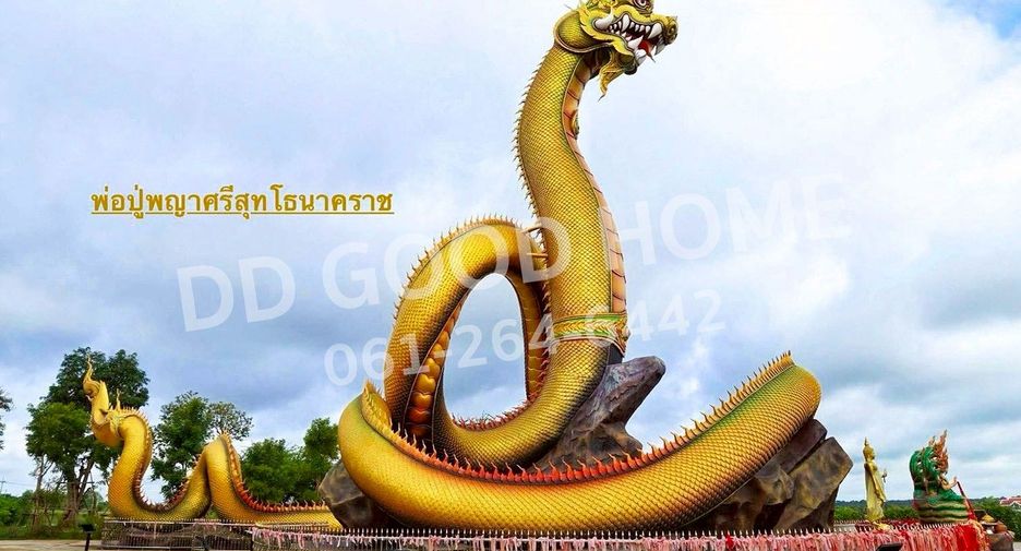 For sale land in Chiang Khwan, Roi Et