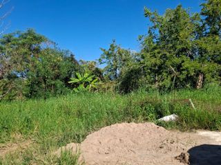 For sale land in Khun Tan, Chiang Rai