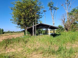 For sale land in Khun Tan, Chiang Rai