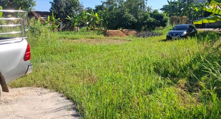For sale land in Khun Tan, Chiang Rai