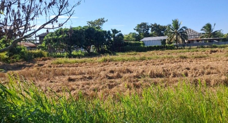 For sale land in Khun Tan, Chiang Rai
