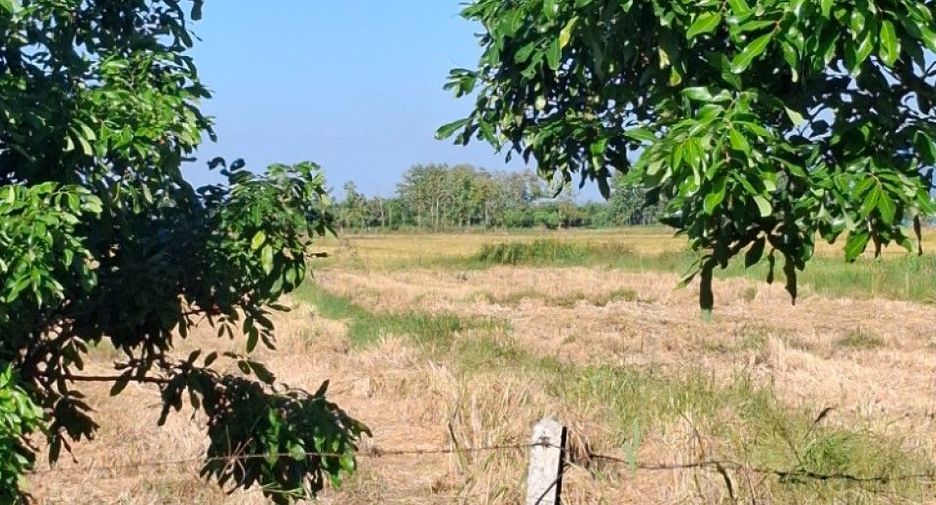 For sale land in Khun Tan, Chiang Rai