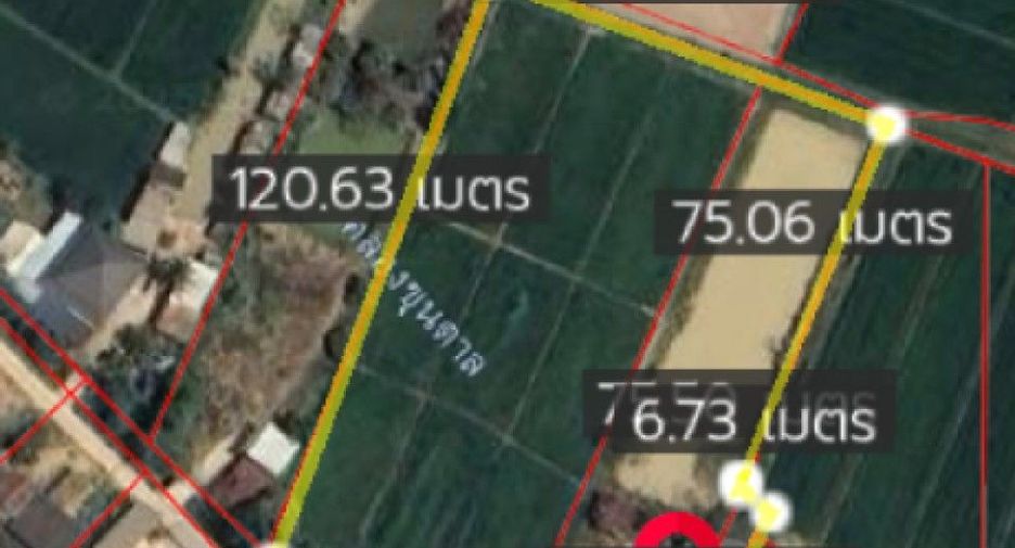 For sale land in Khun Tan, Chiang Rai