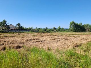 For sale land in Khun Tan, Chiang Rai