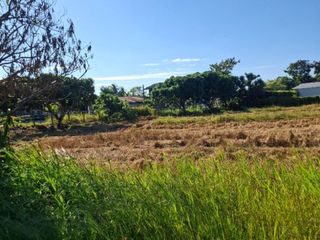 For sale land in Khun Tan, Chiang Rai