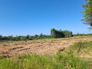 For sale land in Khun Tan, Chiang Rai