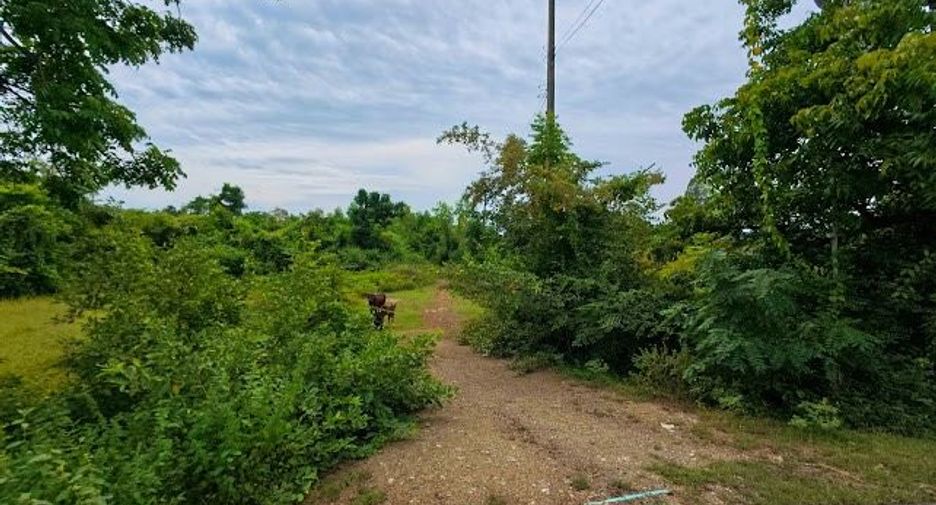 For sale land in Khao Yoi, Phetchaburi