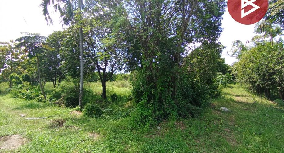 For sale land in Nong Khae, Saraburi