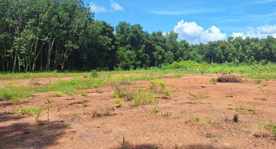 For sale land in Klaeng, Rayong