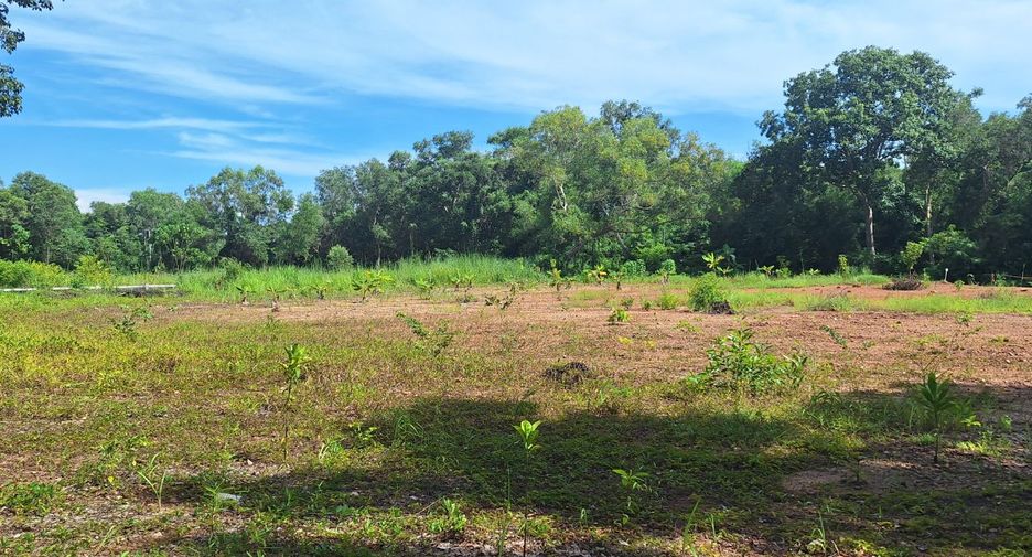 For sale land in Klaeng, Rayong