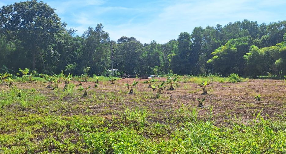 For sale land in Klaeng, Rayong