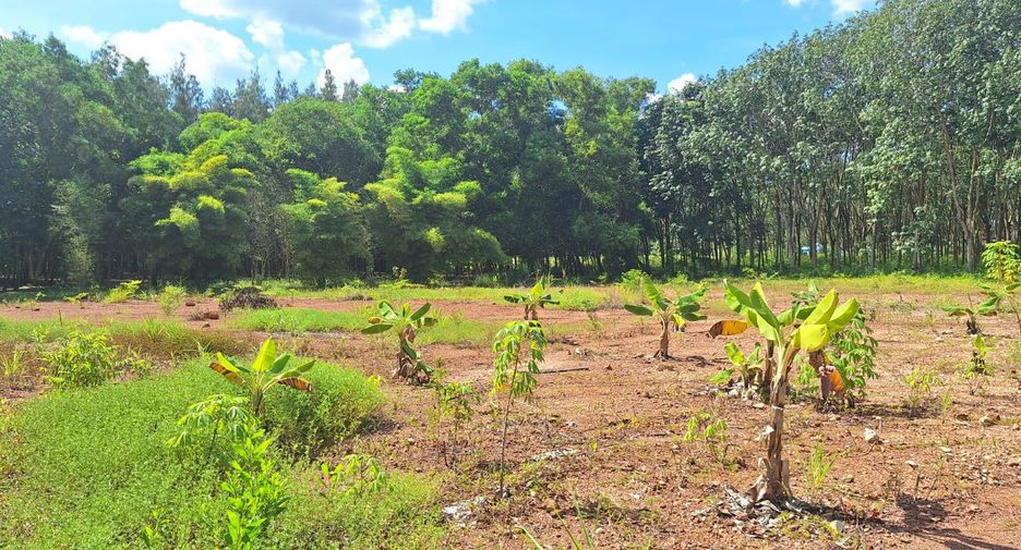 For sale land in Klaeng, Rayong