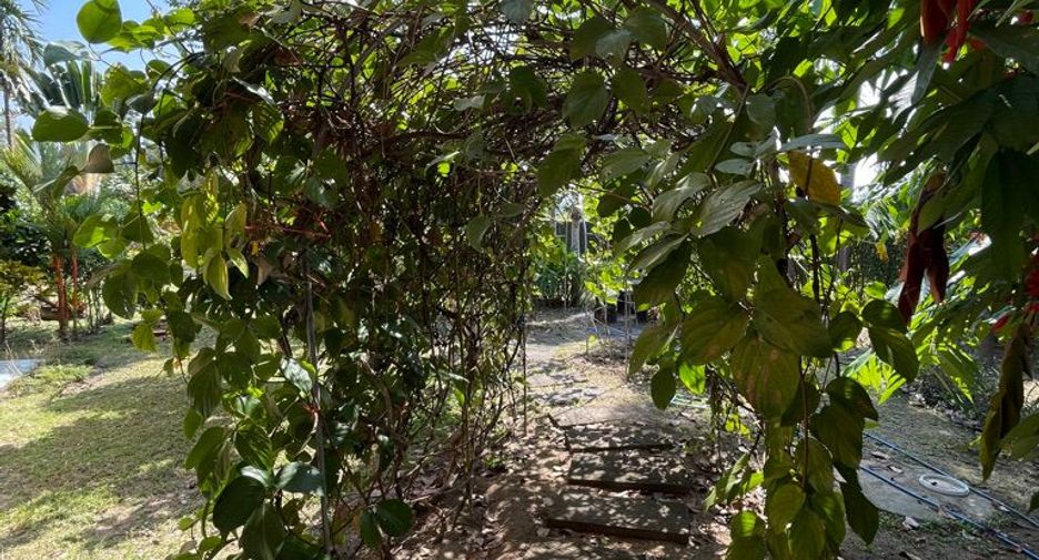 For sale 5 bedrooms house in Mae Rim, Chiang Mai