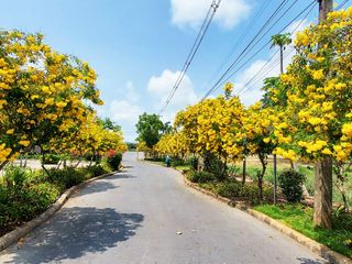 出售 1 卧室 公寓 在 Ban Chang, Rayong