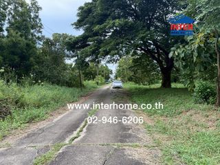ขาย ที่ดิน ใน หนองจอก, กรุงเทพฯ