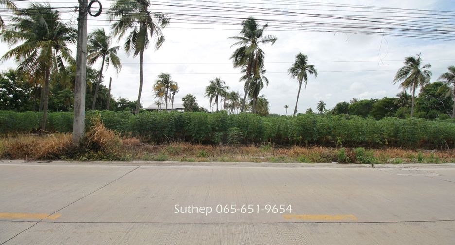 For rent land in Mueang Rayong, Rayong