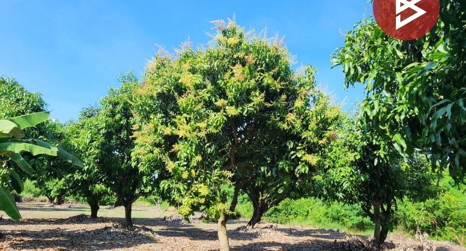 Grundstück zum Kauf in U Thong, Suphan Buri