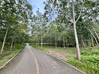 出售 土地 在 Mueang Krabi, Krabi