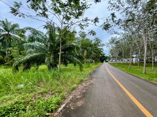 For sale land in Mueang Krabi, Krabi