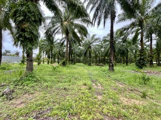 For sale land in Mueang Krabi, Krabi