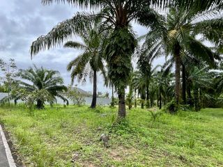 For sale land in Mueang Krabi, Krabi