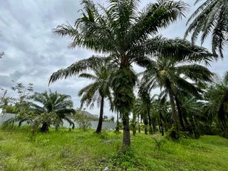 For sale land in Mueang Krabi, Krabi