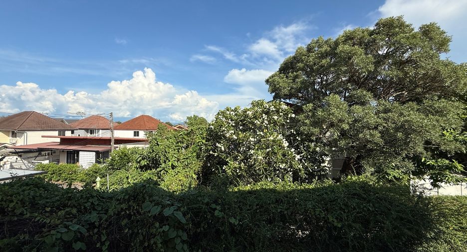 For sale 3 bedrooms house in San Sai, Chiang Mai