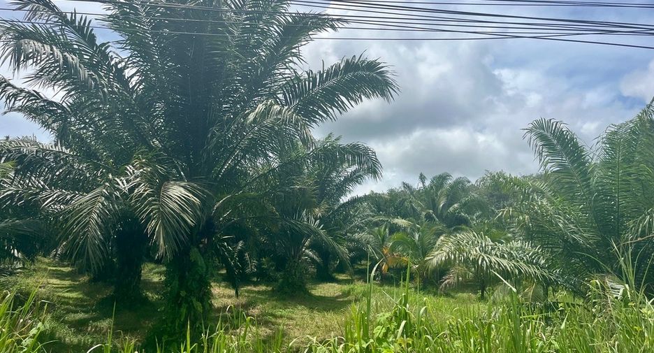 Terreno en venta en Takua Thung, Phang Nga
