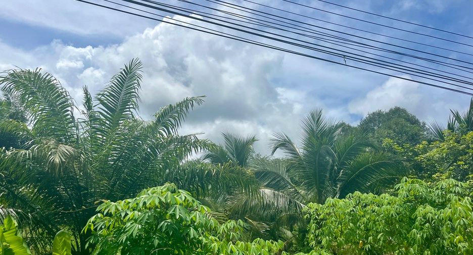 Terreno en venta en Takua Thung, Phang Nga