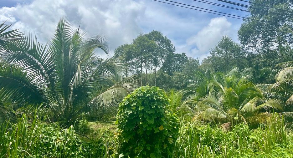 Terreno en venta en Takua Thung, Phang Nga
