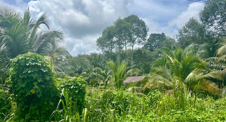 Terreno en venta en Takua Thung, Phang Nga