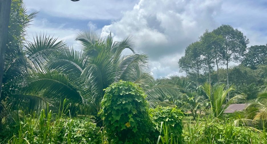 Terreno en venta en Takua Thung, Phang Nga