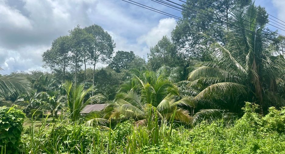 Terreno en venta en Takua Thung, Phang Nga