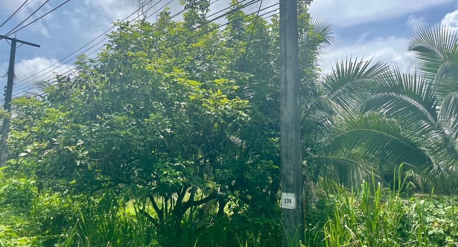 Terreno en venta en Takua Thung, Phang Nga