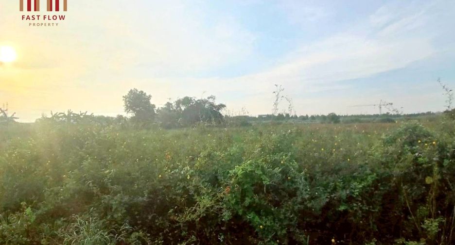For rent そして for sale land in Lam Luk Ka, Pathum Thani