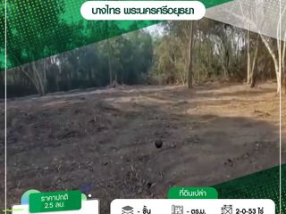ให้เช่า และ ขาย ที่ดิน ใน บางไทร, พระนครศรีอยุธยา