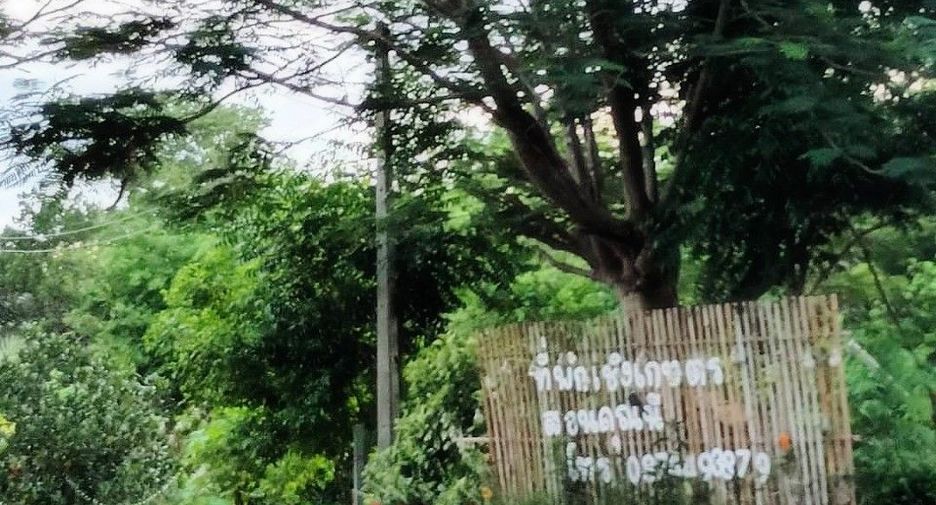 Grundstück zum Kauf in Pak Chong, Nakhon Ratchasima