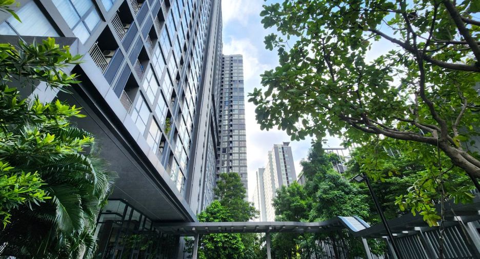 For rent and for sale 1 bed condo in Bang Sue, Bangkok