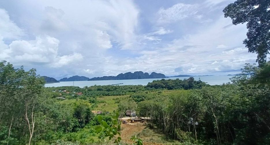 ขาย ที่ดิน ใน ตะกั่วทุ่ง, พังงา