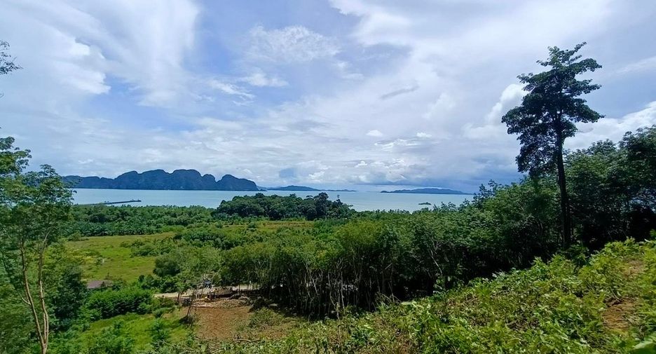 ขาย ที่ดิน ใน ตะกั่วทุ่ง, พังงา
